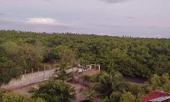 Imagem 3: Alugo Chácara Chácara com aluguel por R$350 /mês