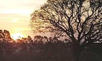 Imagem 3: Sítio Espetacular a venda em Sarapuí 4,6alq Lindo