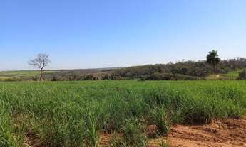 Imagem: Sítio 12,70 alqueires em Nhandeara