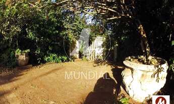 Imagem 4: Chacara (chacara