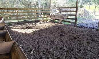 Imagem 4: Rancho Queimado - Fazenda - Vargedo