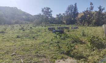 Imagem 2: Fazenda com 250 hectares em Silveiras - São Paulo