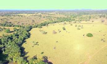 Imagem: Excelente Fazenda - Santa Terezinha de Goiás