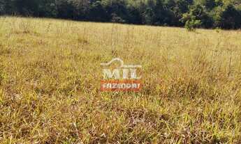 Imagem 3: Chácara 2 alqueires e 33 litros- Bela vista de Goiás