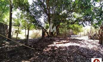 Imagem 6: Chacara (chacara) 2 dormitórios, cozinha planejada