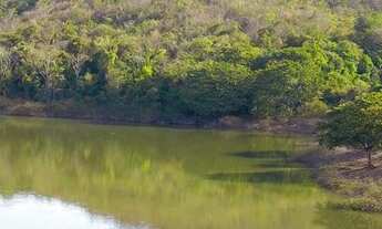Imagem: VENDE LOTE BARATO NO CORUMBA EM ALEXANIA