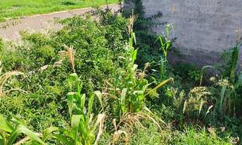 Imagem 2: Vendo ou troco terreno no Paulista 4