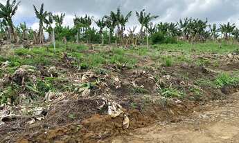 Imagem 2: Fazenda/Sítio/Chácara para venda possui 23000 metros quadrados em Centro - São João do Ita