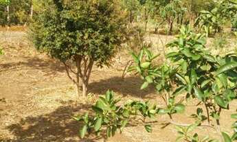 Imagem 2: Chacara a venda. **Oportunidade*