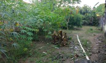 Imagem 5: Vendo ou troco casa em Mucajaí