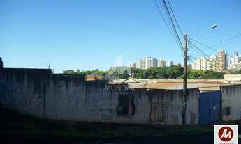 Imagem 2: Salão/Galpão (salão - térreo