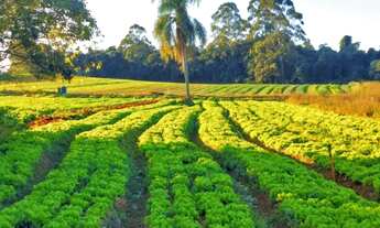 Imagem 5: Aceitamos veículos no valor da tabela FIPE! Não perca essa oportunidade! HP