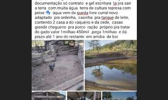 Imagem: Vende se 20 algueiro 40km de bom jardim