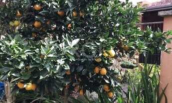 Imagem 7: Viamão - Casa Padrão - Cantegril