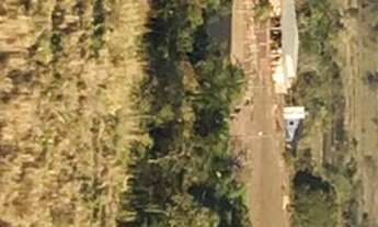 Imagem 4: Fazenda em Sandolandia-TO