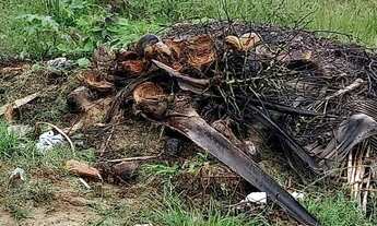 Imagem 2: Terreno medindo 7×35