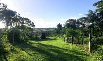 Imagem 3: Terrenos com entradas a partir deR$ 2.500,00