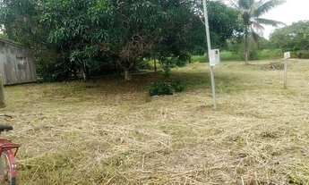 Imagem: Terreno em belterra estrada 5