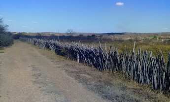 Imagem 3: Terreno Sitio Terra Nova