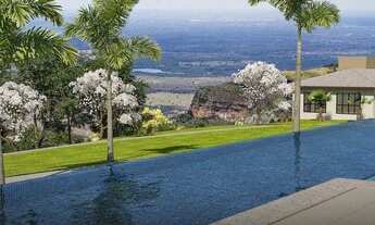 Imagem 3: Oportunidade florais chapada