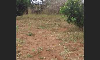 Imagem 6: CHAPADÃO DO CÉU - RURAL - Zona Rural