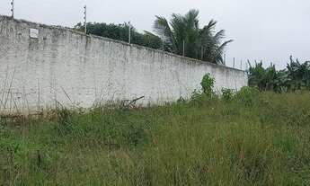 Imagem 4: Terreno medindo 7×35