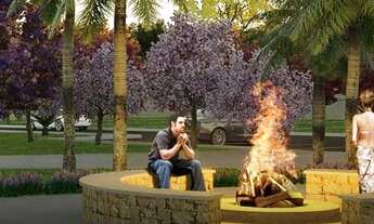 Imagem 4: Oportunidade florais chapada