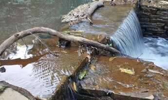Imagem: Chácara 20.000 metros a 1.800 metros da