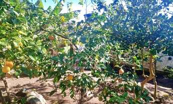 Imagem 3: Chácara à venda em Governador Celso Ramos/SC