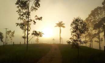 Imagem 3: Fazenda/Sítio/Chácara para venda com 970000 metros quadrados com 5 quartos