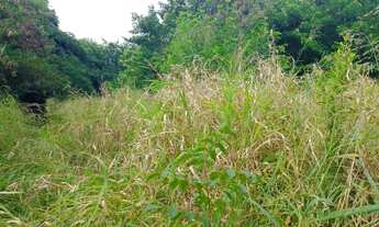 Imagem 3: Fazenda/Sítio/Chácara para venda tem 190 metros quadrados com 4 quartos