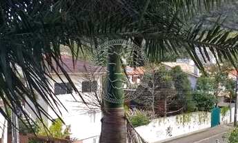 Imagem 7: FLORIANóPOLIS - Padrão - Lagoa da Conceição