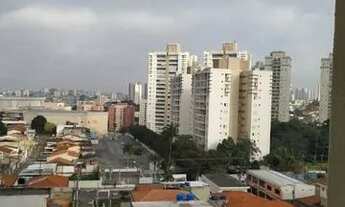 Imagem 4: São Paulo - Apartamento Padrão - Mandaqui