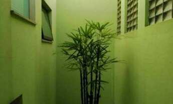 Imagem 6: Lindo Sobrado Vila Gilda com 201m2, com 3 dorms, 4 vagas, excelente localização!!!