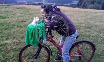 Imagem 7: URUBICI - Terreno Padrão - Santo Antônio