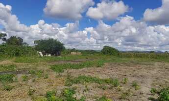 Imagem 4: Vendo ou toco por carro