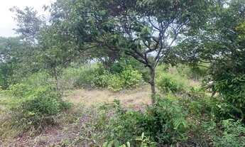 Imagem: Vendo terreno no maracujá