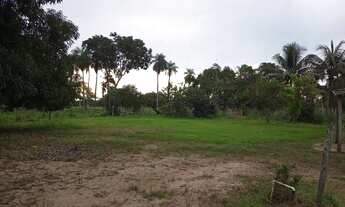 Imagem 2: Chácara Chácara com venda por R$100.000