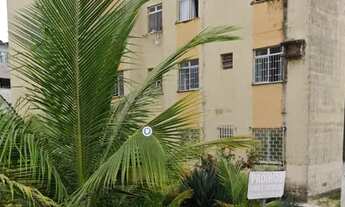 Imagem: Estrela do Mar !