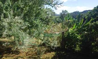 Imagem 5: Sítio com 2 dormitórios à venda, 48000 m² por R$ 1.520.000,00 - Centro - Santo Antônio do