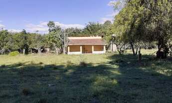 Imagem 2: Chácara com 8000m² em Belém Novo para venda