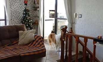 Imagem 3: Apartamento para venda tem 350 metros quadrados com 3 quartos em Aparecida - Santos - SP