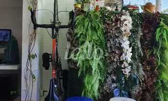 Imagem 4: São Paulo - Apartamento Padrão - Ipiranga