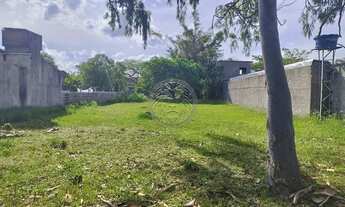 Imagem 4: FLORIANóPOLIS - Terreno Padrão - Campeche