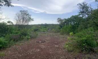 Imagem 3: Vendo terreno no maracujá