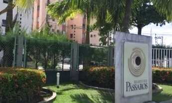 Imagem 6: Recanto dos Passaros, av Rio de Janeiro