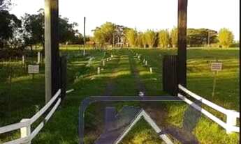 Imagem: Sítio para Venda - 300m², 3 dormitórios