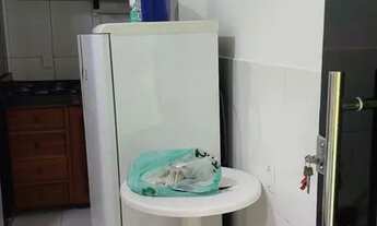 Imagem 5: 7 apartamentos mobiliados pra alugar pra São bras