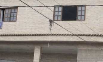 Imagem: 2 salões comerciais e 8 casas