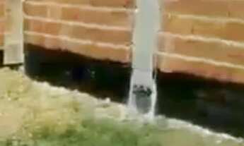 Imagem 5: Terreno cidade jardim 2